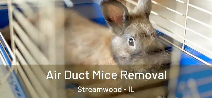  Air Duct Mice Removal Streamwood - IL