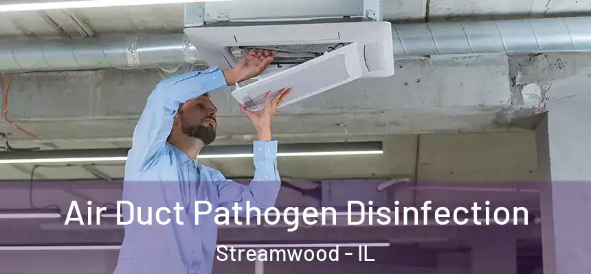  Air Duct Pathogen Disinfection Streamwood - IL