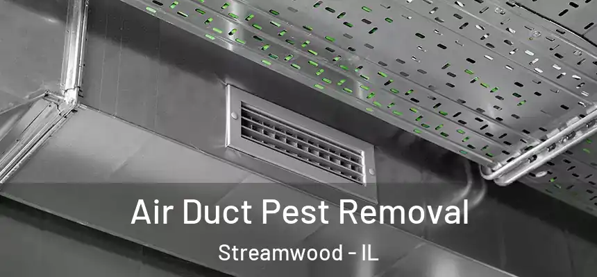  Air Duct Pest Removal Streamwood - IL