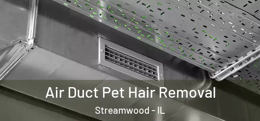  Air Duct Pet Hair Removal Streamwood - IL