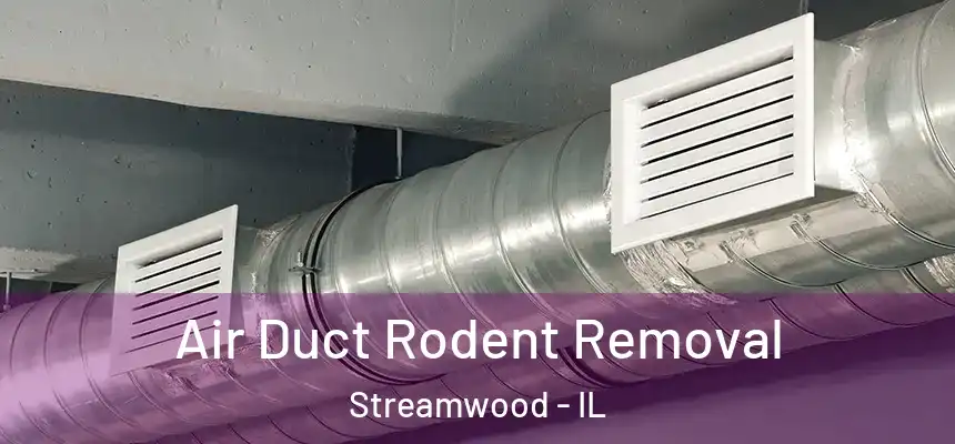  Air Duct Rodent Removal Streamwood - IL