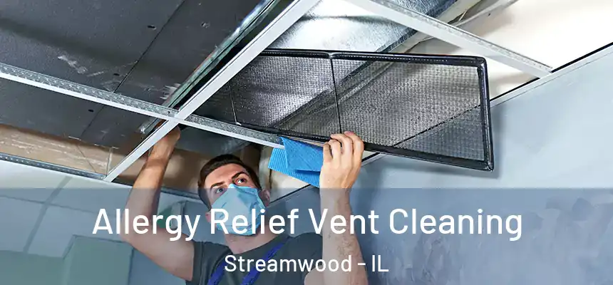 Allergy Relief Vent Cleaning Streamwood - IL