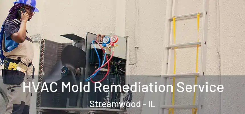  HVAC Mold Remediation Service Streamwood - IL