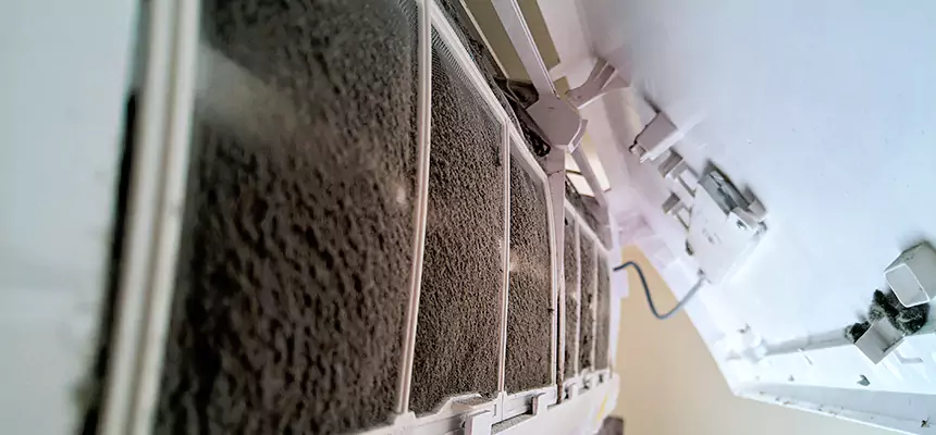 Preventive Air Duct Bacteria Removal in Streamwood