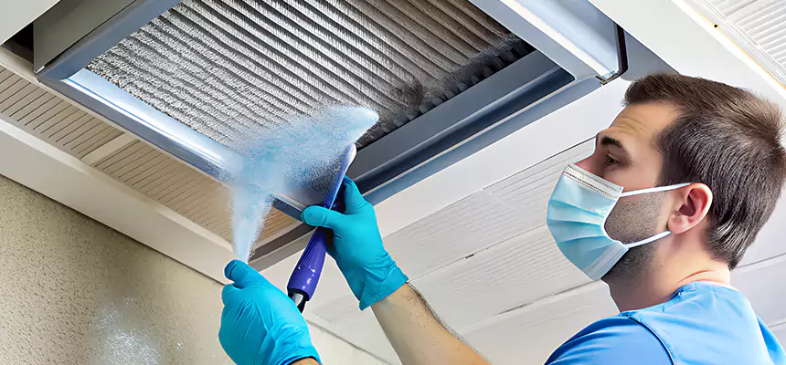 Proactive Dryer Vent & Auxiliary Duct Pollen Cleanup in Streamwood, IL