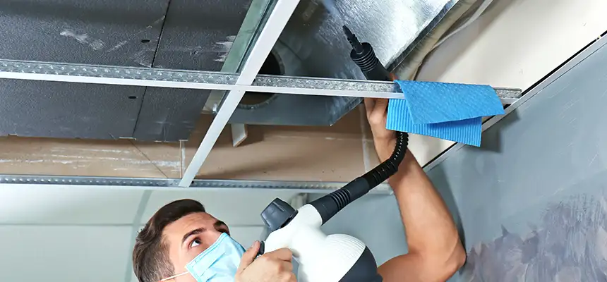 Our Air Duct Rodent Removal Services in Streamwood, IL