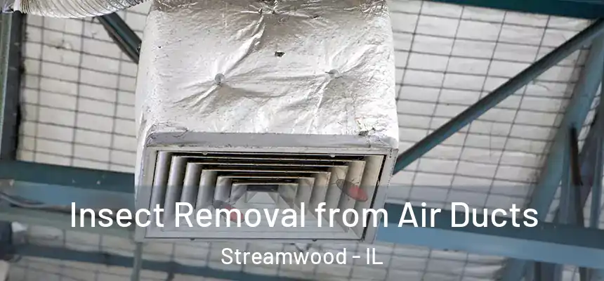 Insect Removal from Air Ducts Streamwood - IL