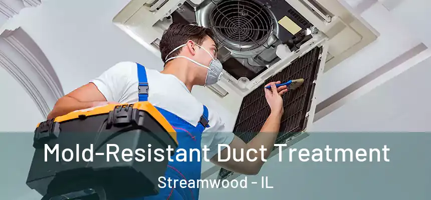  Mold-Resistant Duct Treatment Streamwood - IL