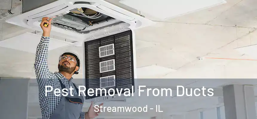  Pest Removal From Ducts Streamwood - IL