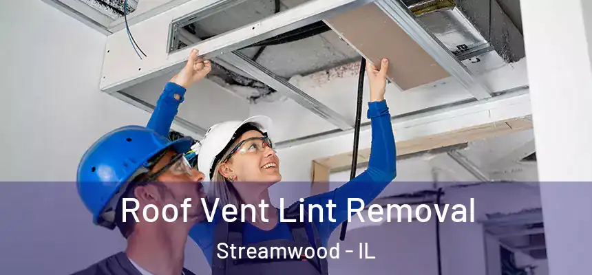  Roof Vent Lint Removal Streamwood - IL
