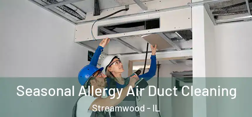  Seasonal Allergy Air Duct Cleaning Streamwood - IL