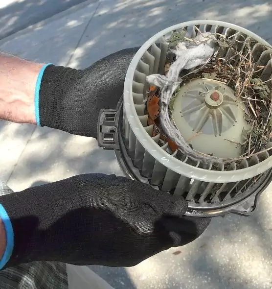 About Air Duct Mice Removal in Streamwood, IL