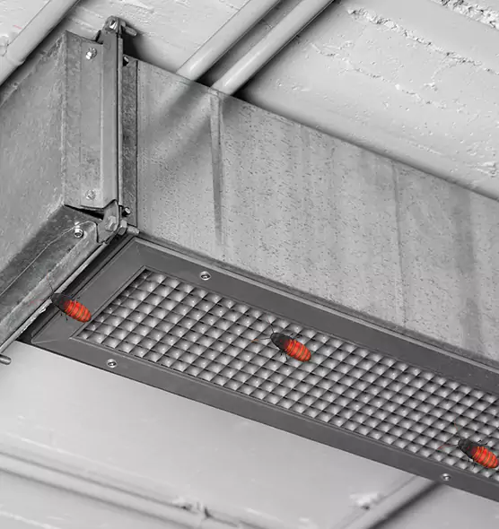 Affordable Insect Removal from Air Ducts in Streamwood, IL